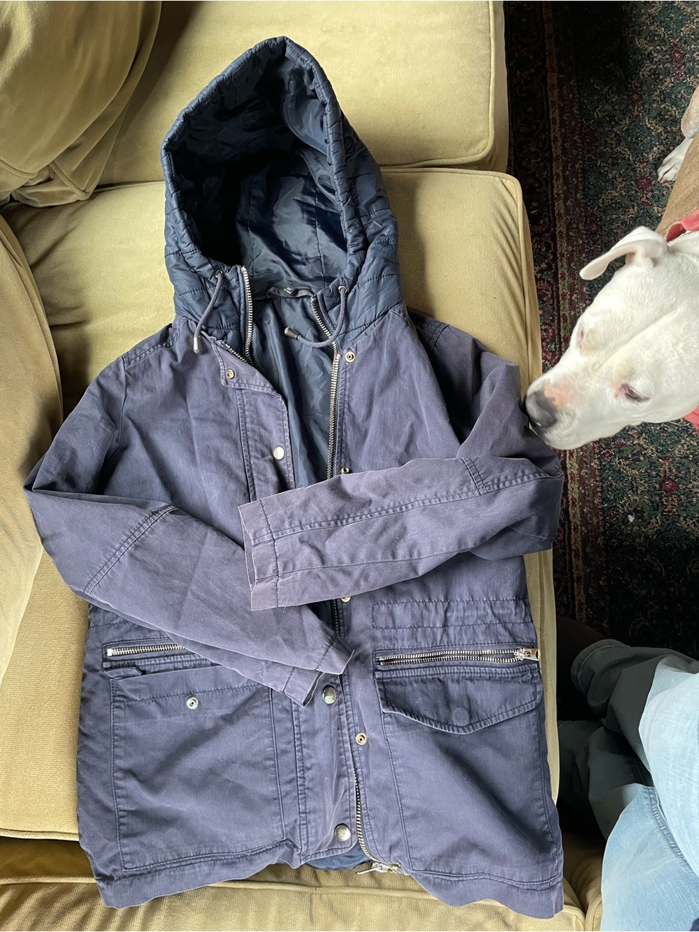 Topshop Navy Hooded Military Field Jacket